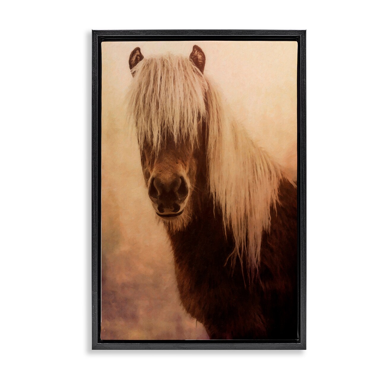 Stupell Industries Misty Morning Horse Floater Framed Canvas Wall Art Design by Graffi*tee Studios